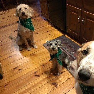 Fundraising Page: Claudia Dye